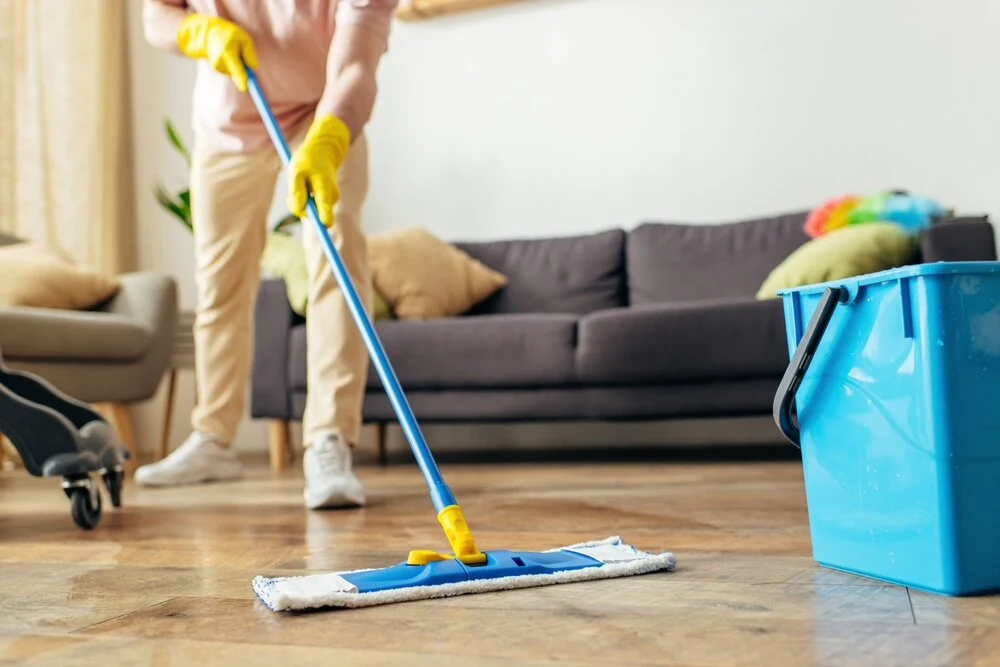 Regular Domestic Cleaning Services London
